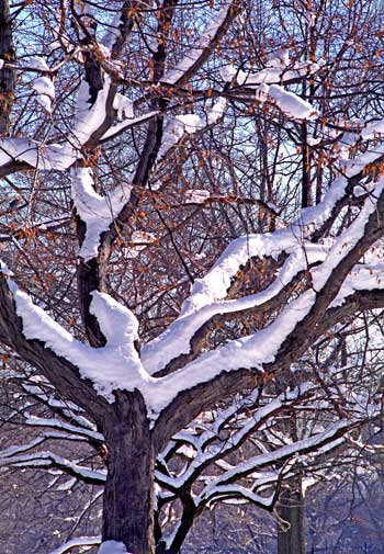 NYC F73-3, Photography art / New York City, Art Galleries, London, Hong Kong, Paris, Rome, Athens, Geneva - Link