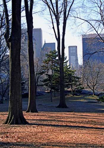 NYC F67-30 This image is the future link to top art galleries in Hong Kong, New York City, London, Paris and Rome.