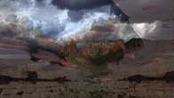 FLO II, Video Art whose destiny is the top art galleries in New York City, Hong Kong, London, Paris and Rome.
